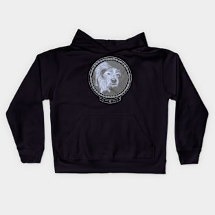 17 Year Old Dog (frame Moonsilver Celtic Rope) Kids Hoodie